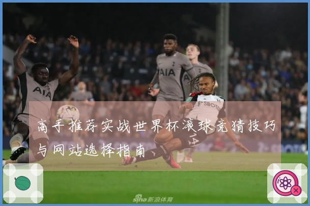 高手推荐实战世界杯滚球竞猜技巧与网站选择指南