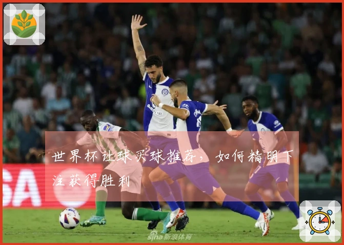 世界杯让球买球推荐，如何精明下注获得胜利