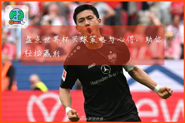 盘点世界杯买球策略与心得，助你轻松赢利