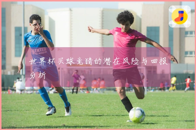 世界杯买球竞猜的潜在风险与回报分析