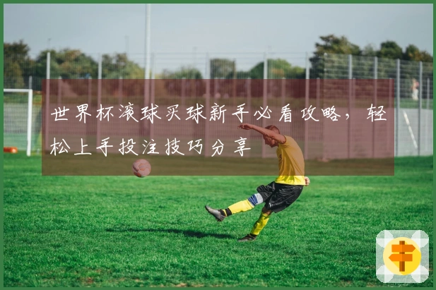 世界杯滚球买球新手必看攻略，轻松上手投注技巧分享