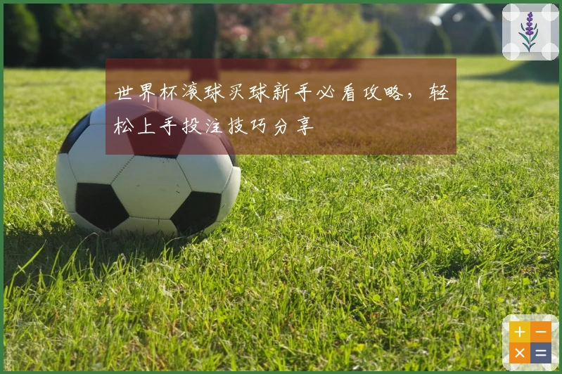 世界杯滚球买球新手必看攻略，轻松上手投注技巧分享