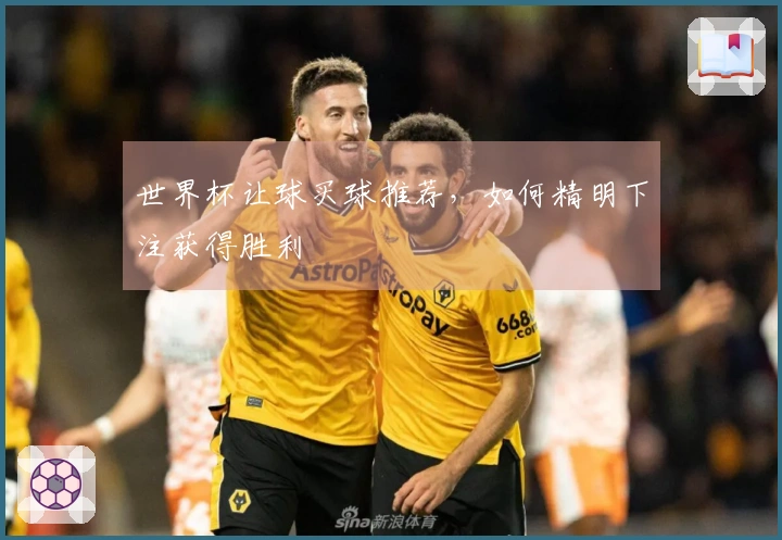 世界杯让球买球推荐，如何精明下注获得胜利