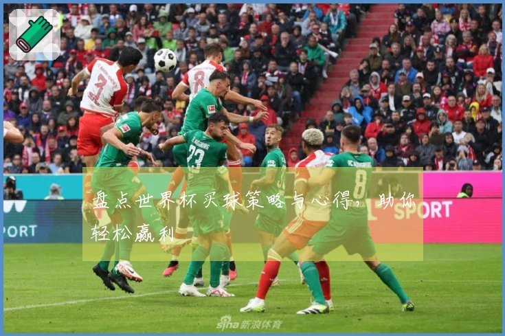 盘点世界杯买球策略与心得，助你轻松赢利