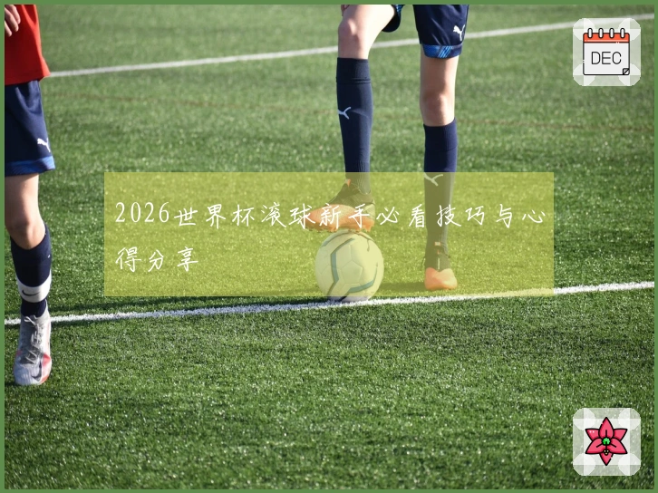 2026世界杯滚球新手必看技巧与心得分享